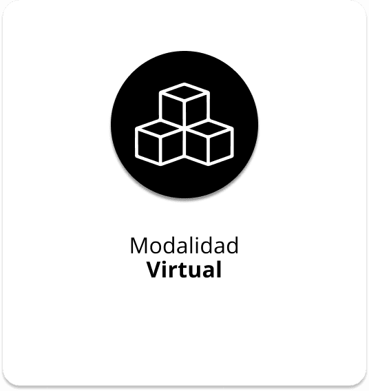 auditoria en salud virtual