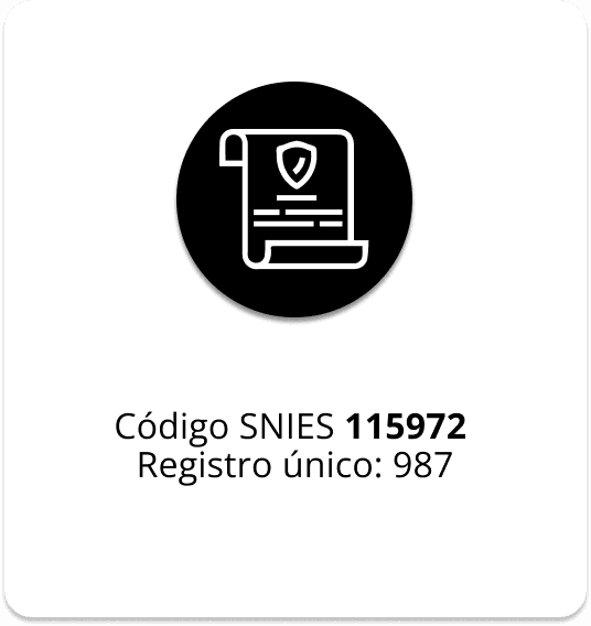 auditoria en salud virtual