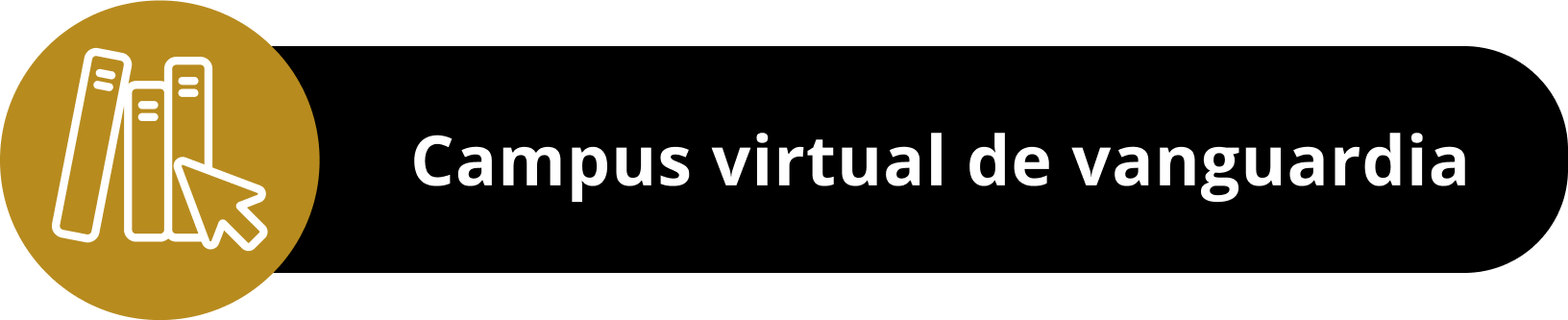 Técnico en ciberseguridad virtual