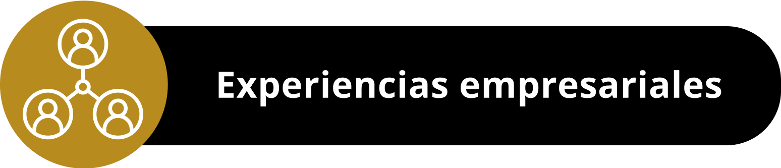 Certificación en hacking ético