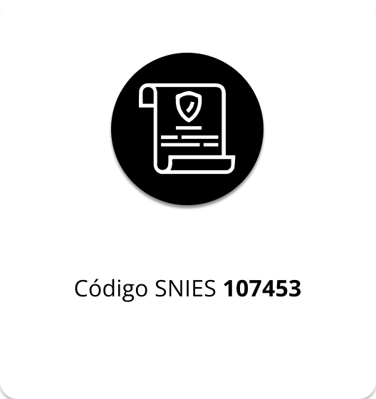 Ícono blanco de documento con escudo que representa estudiar seguridad informática.