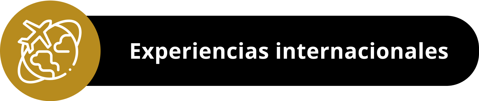 Especialización virtual en Seguridad y salud en el trabajo módulo