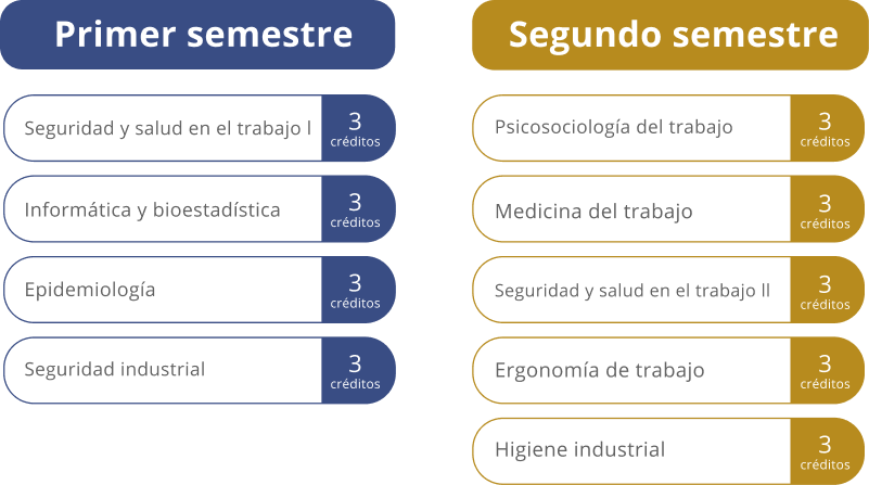 grupo malla curricular